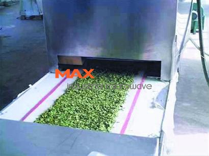 Microwave Drying, Steaming and Sterilizing for Black Tea Process